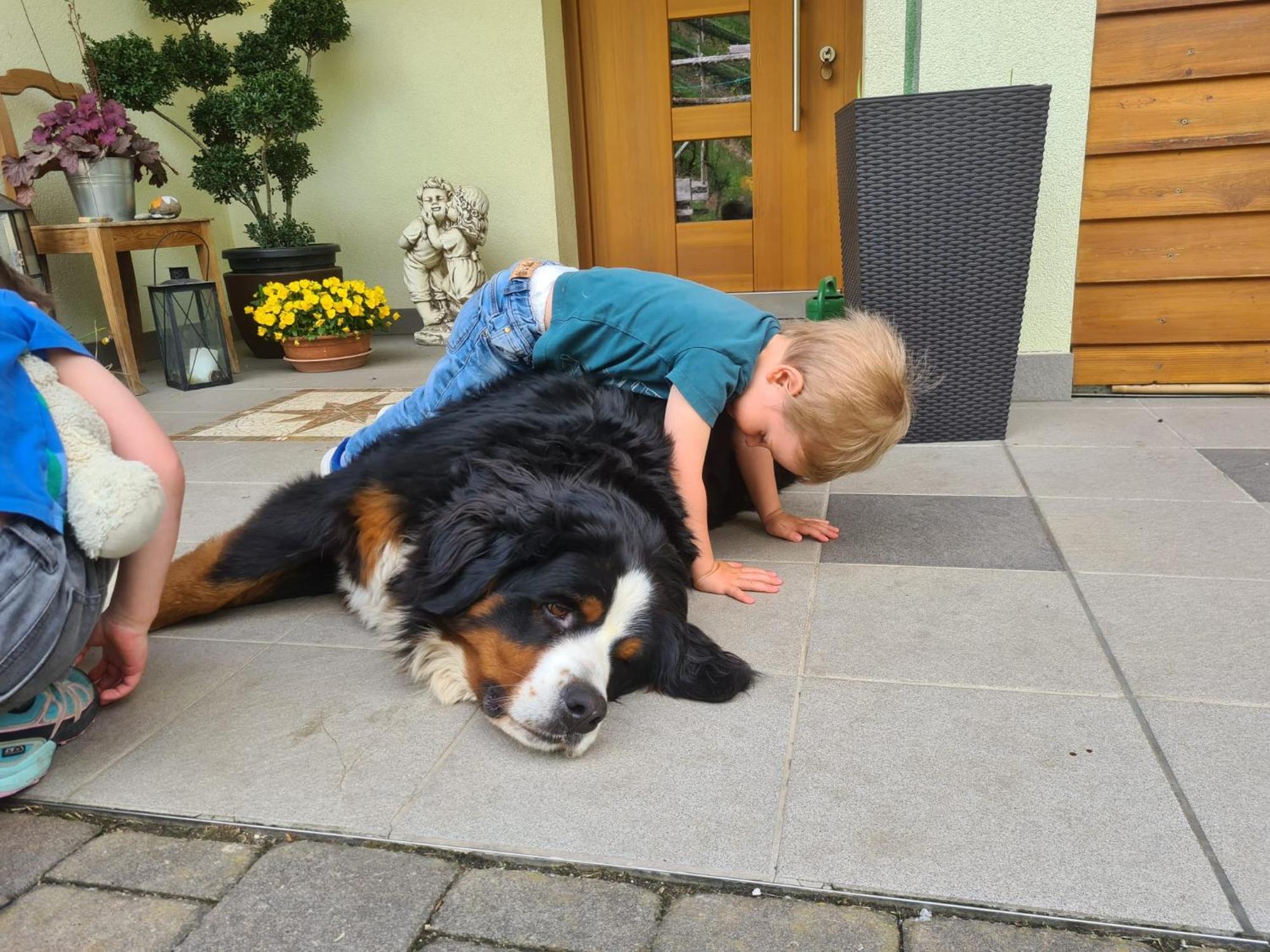 Kerschbamerhof Im Sueden Suedtirols Cortaccia Exteriör bild