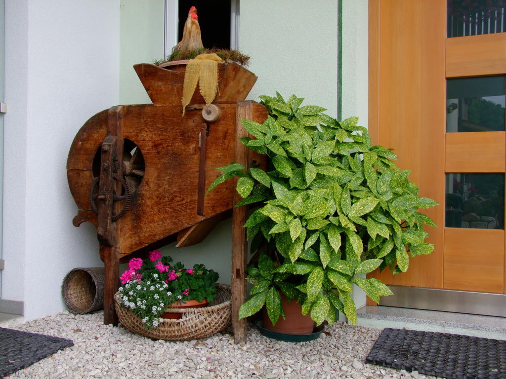 Kerschbamerhof Im Sueden Suedtirols Cortaccia Exteriör bild